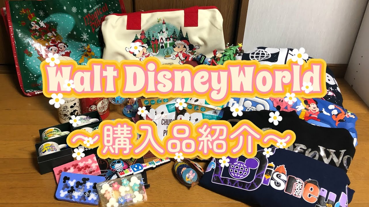 【フロリダディズニーワールド購入品紹介🐭🏰🩷】スタバコラボ商品、スピリットジャージー、限定グッズetc...
