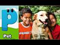 ABC ABCD Sounds 405TH1 | Nursery Rhyme for Kids | Koko Study Class