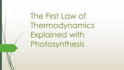 Physics Video Assignment 1