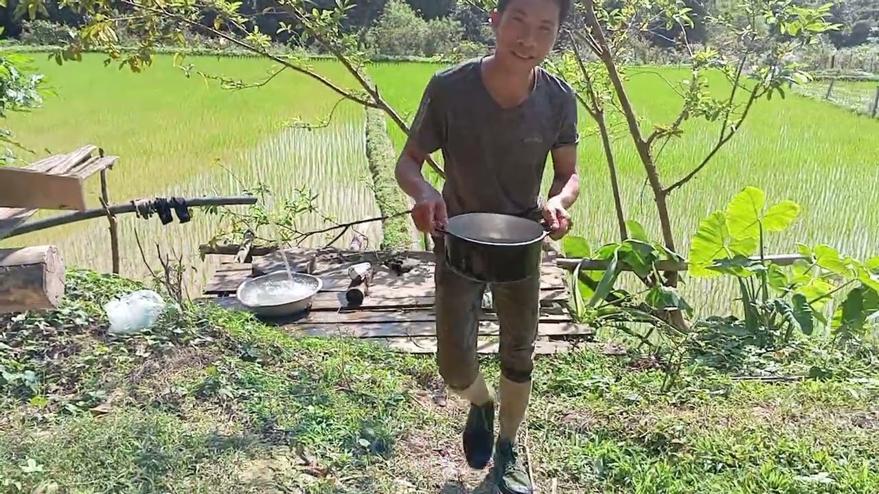 THẢ LƯỚI BẮT CÁ VÀ NẤU ĂN , MÓN CÁ NƯỚNG QUÁ SUẤT SẮC