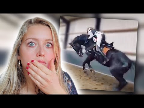 Reageren op bloopers van fans en hoe ze paardrijden! #4