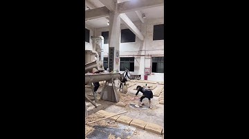 POV Girls Stomping Fermentation Bricks — Traditional Chinese Winemaking in Action