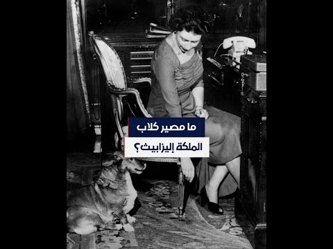 كانت تصحبها في زياراتها الخارجية ما مصير كلاب الملكة إليزابيث