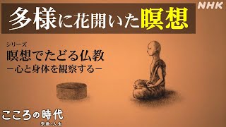 [こころの時代] インドで多様に花開いた瞑想 | 仏教学者・蓑輪顕量×元陸上選手・為末大 | 瞑想でたどる仏教 | NHK