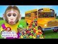 Macaco Rio dirige ônibus cheio de doces M&M e come geleia Coca Fanta Pepsi | Animal Monkey Rio