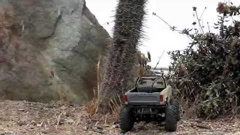 Little Toyota Losi Micro Trail Trekker 1:20 at Dana Point California
