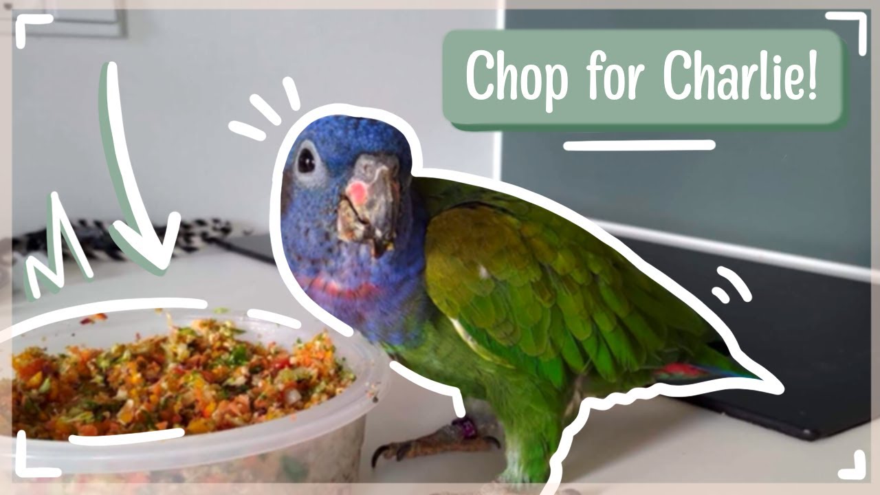 Making chop for my pionus parrot YouTube