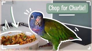 Making chop for my pionus parrot