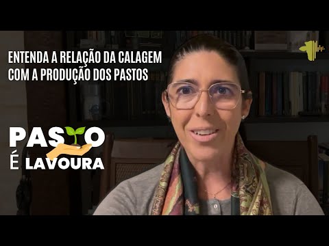 ENTENDA A RELAÇÃO DA CALAGEM COM A PRODUÇÃO DOS PASTOS | PASTO É LAVOURA