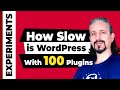 How slow is wordpress with 100 plugins on