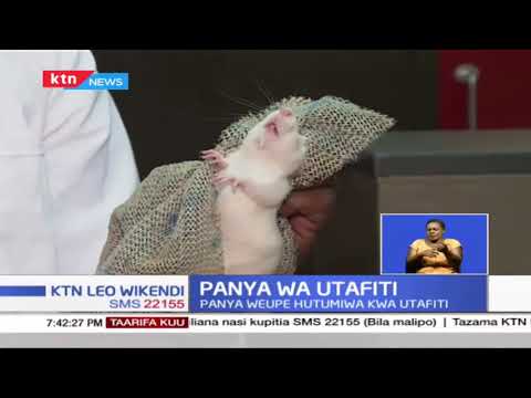 Video: Utafiti wa kisayansi wa lugha unaitwaje?