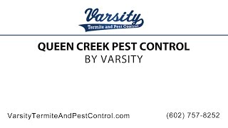 Queen Creek Pest Control | Varsity Termite & Pest Control