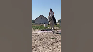 Olesnica, Poland. My sis horse riding