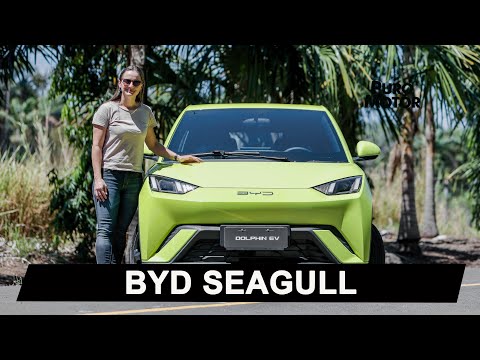 BYD SEAGULL / TEST DRIVE