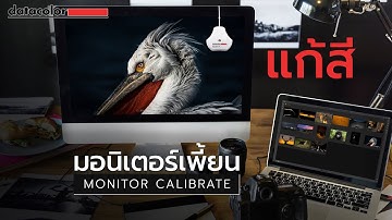 แก้หน้าจอสีเพี้ยน ด้วยขั้นตอนการติดตั้งง่ายๆและคาลิเบรทด้วย Datacolor Spyder X Pro และ X Elite
