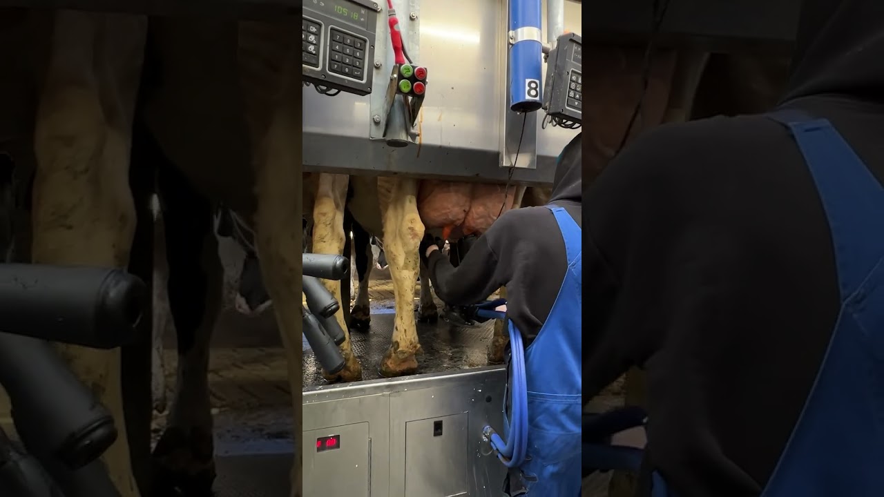 World Amazing Hay Bale Handling Modern Agriculture Equipment Mega Machines Tractor, Harvester, Truck