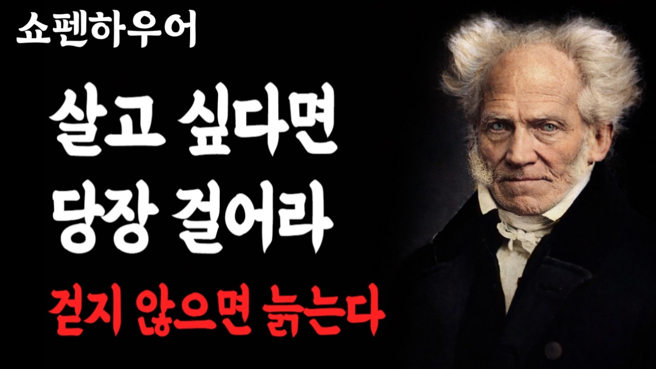걷지 않으면 노후가 무너지는 진짜 이유｜쇼펜하우어｜인생조언｜고독｜마인드셋｜자기계발