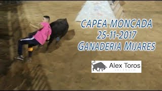 CAPEA CON NOVILLAS MONCADA 25-11-2017