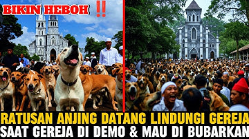 BANDUNG HEBOH‼️Ratusan Anjing Ajaib Lindungi Gereja dari Massa! Pendeta Berdoa,Desa Takut & Bertobat