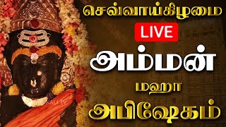 🔴LIVE செவ்வாய்க்கிழமை 📿 அம்மன் மஹா அபிஷேக தரிசனம்🙏 | Today Tamil Amman Songs 🎵  #amman #songs #om