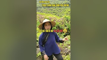 THEO CHÂN TRAI BẢN ĐI RỪNG ĐÀO HÀ THỦ Ô ĐỎ VÀ CÁI KẾT...😂😃😃