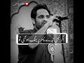 🌿Tehzeeb Hafi ❤️Shayari Status❤️Andaaz E Bayaan Aur🌿 Poetry Status❤️| Tehzeeb Hafi Whatsapp status