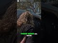 Custody Exchange Escalates Fast When Mom Notices another woman's car in the driveway #shorts