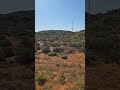testing short videos from Broken Hill