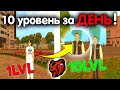 КАК ОЧЕНЬ БЫСТРО ПОДНЯТЬ УРОВЕНЬ на БЛЕК РАША! 10 LvL ЗА ДЕНЬ! - BLACK RUSSIA