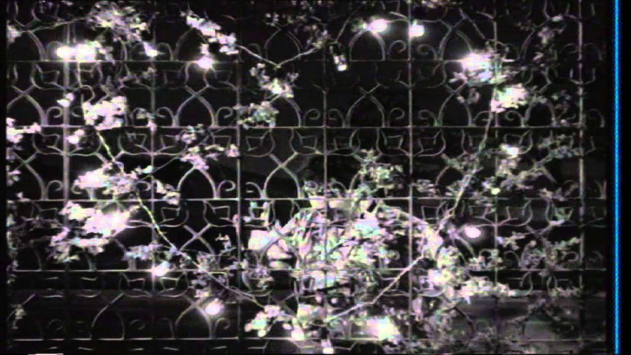 Premakkoo Permitte–Kannada Movie Songs | Usire Odala Thoreyuveya Video Song | Kalpana | TVNXT