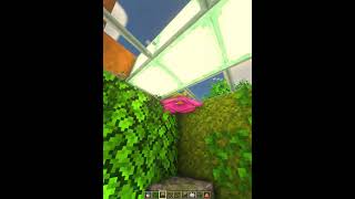 Frog House 🐸 #minecraft