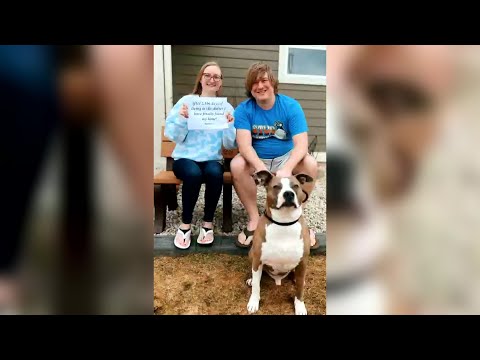 Video: De perfecte Vaderdag cadeau voor elke soort hond papa