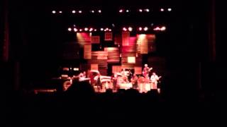 Black Lillies - See Right Through