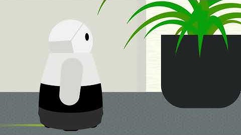 Not All Who Wander Are Lost: A Localization-Free System for In-the-Wild Mobile Robot Deployments