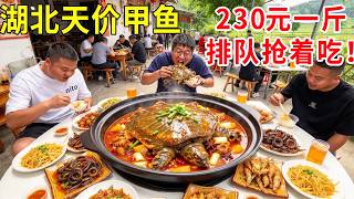 湖北农村甲鱼界天花板，230元一斤的天价土甲鱼，附近村民排长队抢着来吃#麦总去哪吃