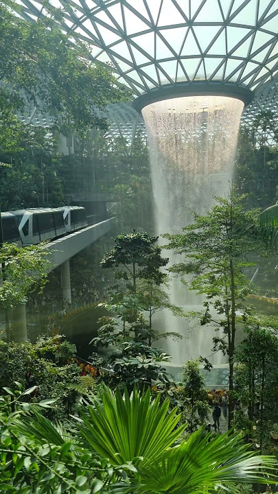 HSBC Rain Vortex | Changi | Singapore