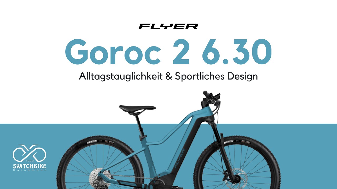 Erstaunlich Flyer Goroc 2 Fotos
