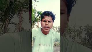 movierulz 01