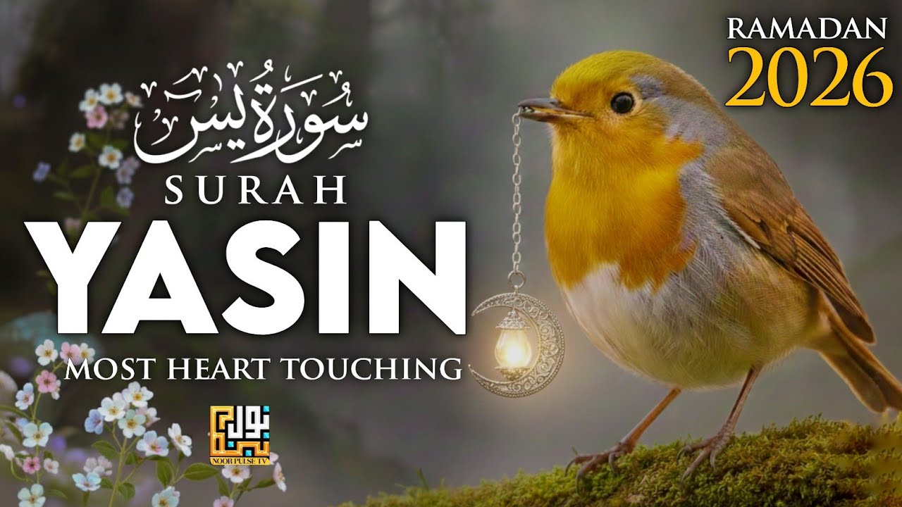 Ramadan Surah Yaseen (سورة يس) Heart Soothing Quran Recitation By Ismail An Noure┇ Noor Pulse Tv