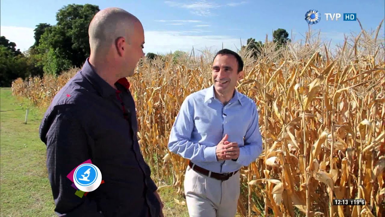 Científicos Industria Argentina - La influencia de los fitocromos - 23-05-15