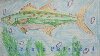 Субботняя рыбалка. Русской Рыбалки 4. Russian Fishing 4. РР4. РР 4. ВПК. RF4. RF4 Подарки! СТРИМ!