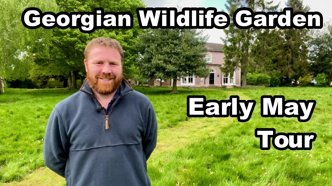 My 250-Year-Old Georgian Wildlife Garden Tour - Early May