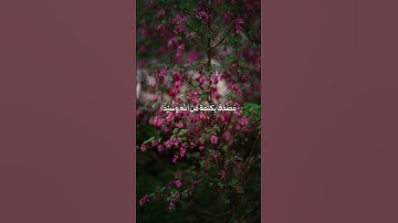 آل عمران الآية (39)🤎 #قرآن #اكسبلور #قرآن #لايك #explore #حالات_واتس #تلاوات #راحة_نفسيه#duet