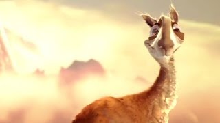 'Caminandes: Llama Drama' by Pablo Vazquez | Disney Favorite