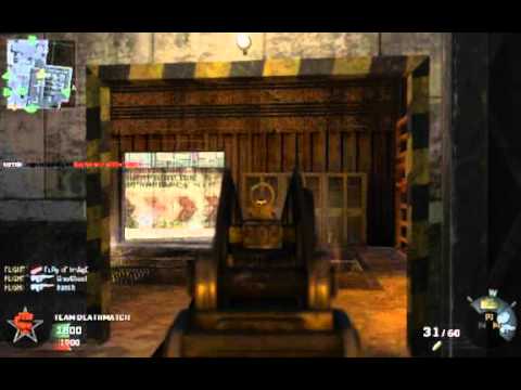Call Of Duty Black Ops Wallhack Aimbot.avi