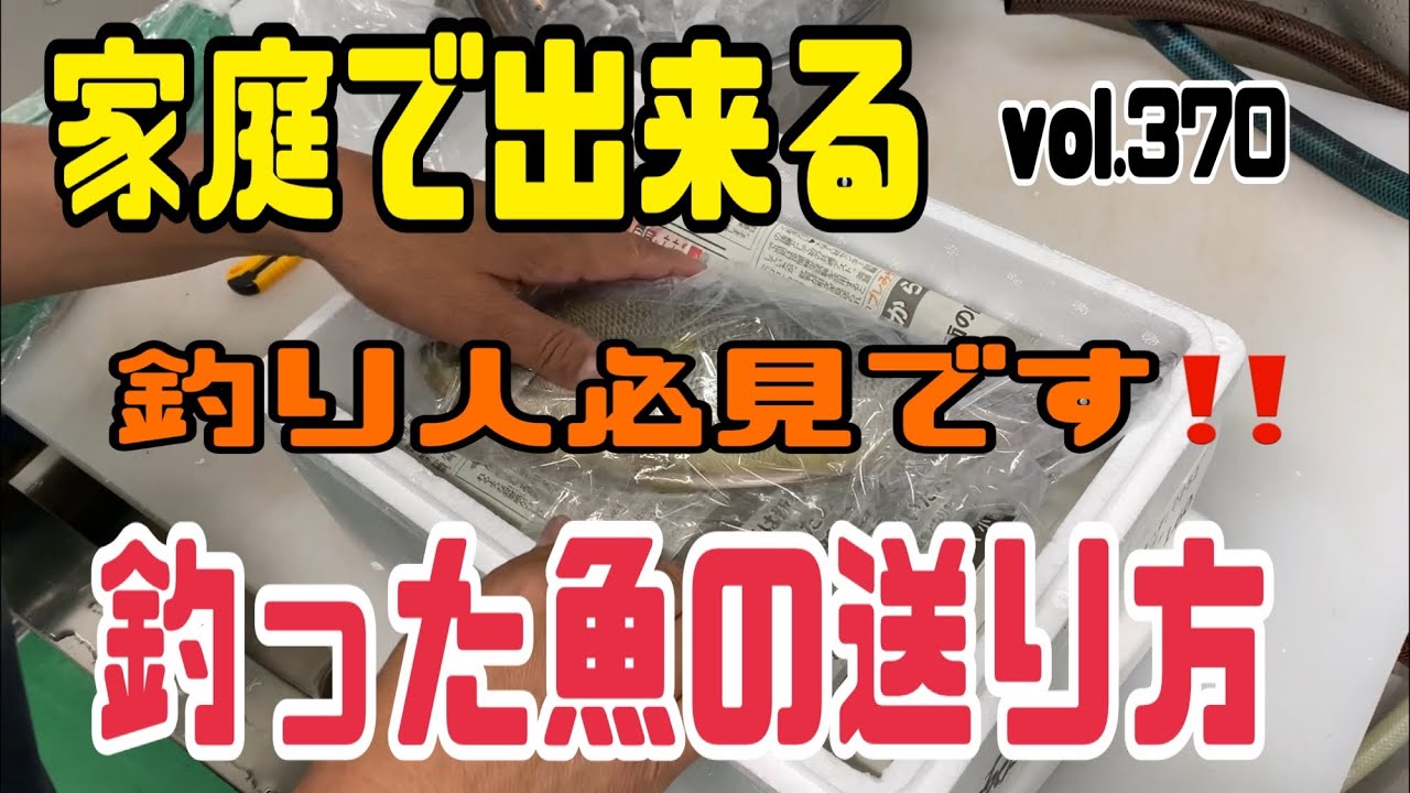 釣り人必見です‼️家庭で出来る釣った魚の送り方編 vol.330 - YouTube
