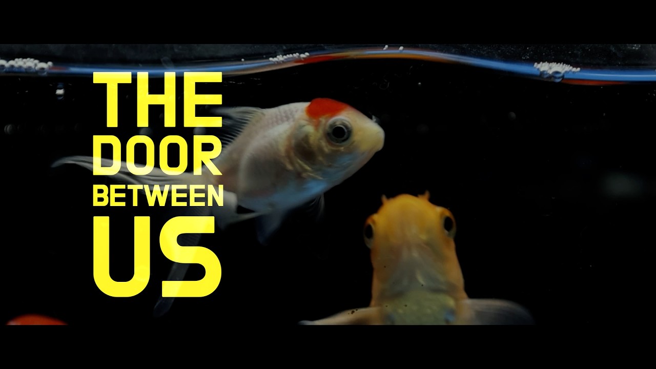 ENG SUB | The Door Between Us 문 너머의 세계 | Short Film 단편영화  | Running time: 10 minutes