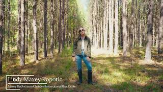 304 Acres for Sale in Jasper County, SC | Prime Lowcountry Land Near I-95