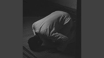 تلاوة خاشعة تنير دروب الإيمان