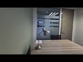 Modern Fully Furnished 14sqm Unit in Prime Sunninghill Location